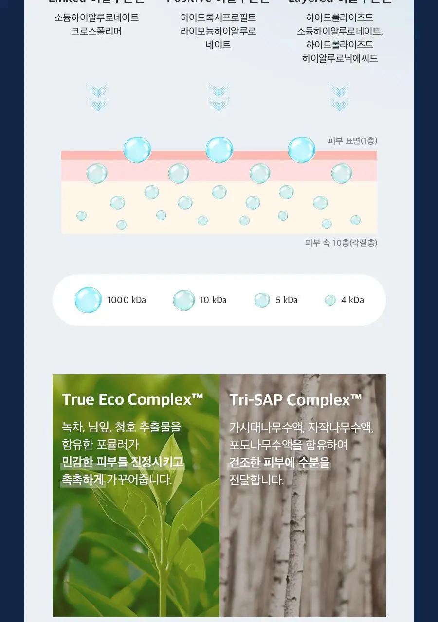 [100시간10층보습]비욘드 엔젤아쿠아 보습장벽크림 더블기획(150mlX2입)(비건) 상세페이지 10